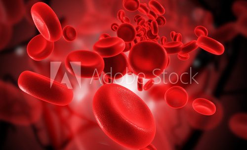 blood cells  Tekstury Fototapeta