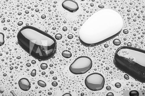 stones of black and white pebbles with water drops  Tekstury Fototapeta