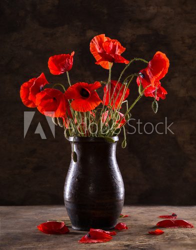 Bunch of poppies in vase  Fototapety Maki Fototapeta