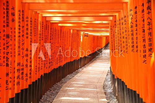 Torii gate tunnel in Kyoto, Japan   Optycznie Powiększające Fototapeta