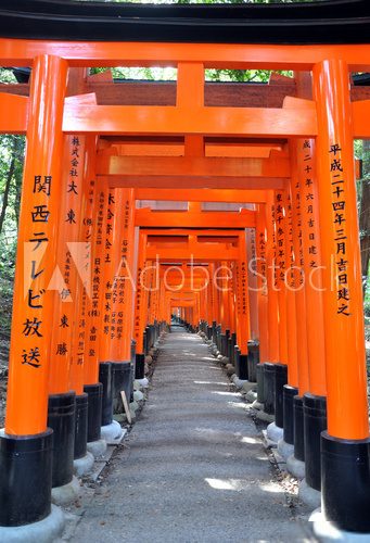 Famous bright orange torii gates of Fushimi Inari Taisha Shrine  Optycznie Powiększające Fototapeta