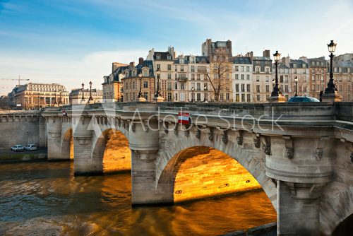 Pont neuf, Ile de la Cite, Paris - France  Architektura Obraz