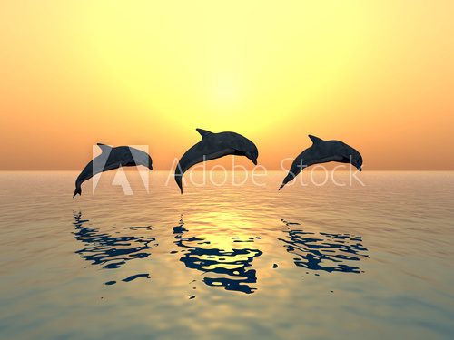 Jumping Dolphins  Zwierzęta Obraz