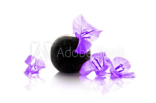 Composition zen avec bougainvillÃ©e violette  Obrazy do Salonu SPA Obraz