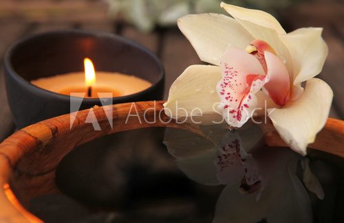 La flamme et l orchidÃ©e  Obrazy do Salonu SPA Obraz