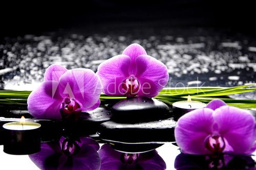 Spa still life with set of pink orchid and stones reflection  Kwiaty Obraz