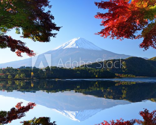 Mt. Fuji in the Autumn from Lake Kawaguchi, Japan  Krajobrazy Obraz