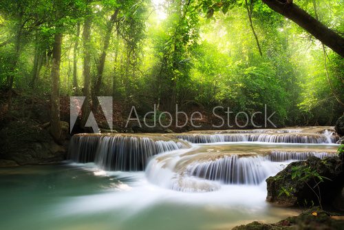 Deep forest waterfall  Krajobrazy Obraz