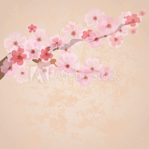cherry blossoms on paper grunge  Fototapety do Kawiarni Fototapeta