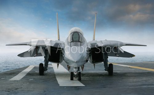 F-14 jet fighter on an aircraft carrier deck viewed from front  Pojazdy Obraz