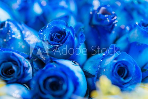 Błękitne róże - marzenia z obłoków Fototapety do Sypialni Fototapeta