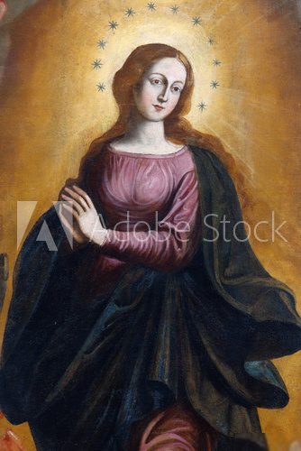Our Lady Immaculate 2  Religijne Obraz