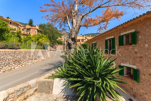 Road and houses on street of Fornalutx village, Majorca island  Fototapety Uliczki Fototapeta
