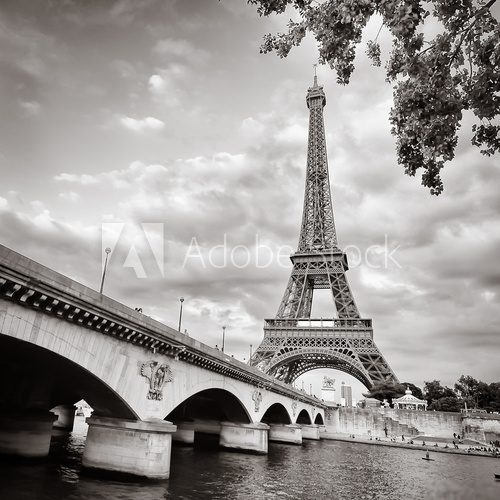 Eiffel tower view from Seine river square format  Fototapety Wieża Eiffla Fototapeta