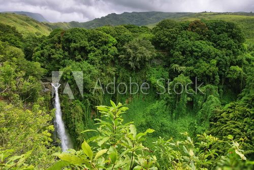 Makahiku falls in Waimoku falls trail  Las Fototapeta