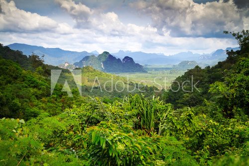 Rainforest of Khao Sok National Park in Thailand  Las Fototapeta