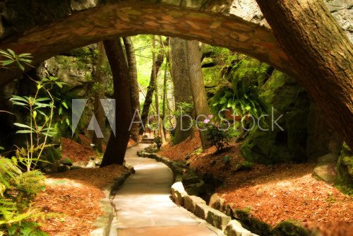 Mystical Park. Old Trees and Ancient Stone Bridge. Pathway  Las Fototapeta
