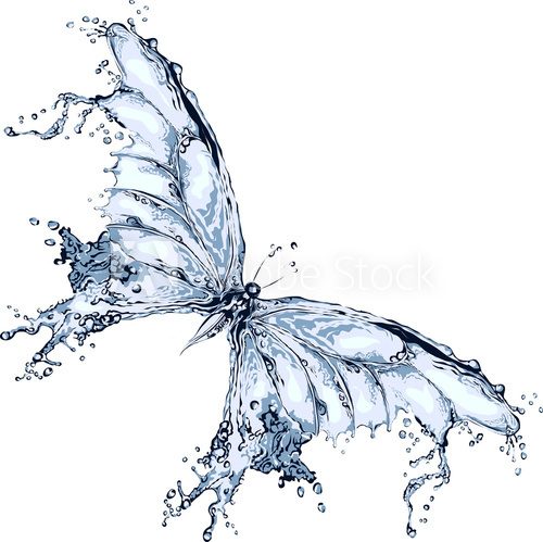 Water splash butterfly 2  Motyle Fototapeta