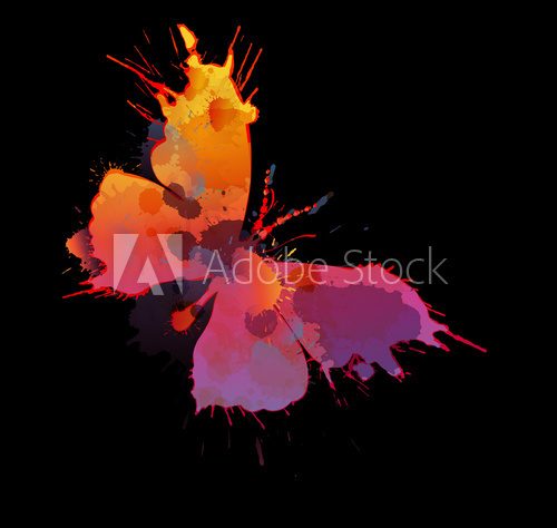Colorful splashes butterfly on black background  Motyle Fototapeta