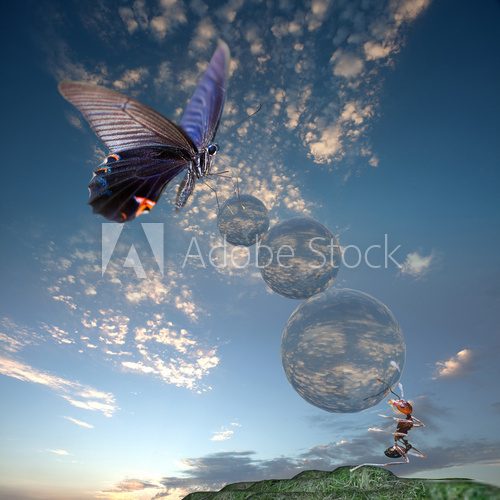 Butterfly flying on the air and ANT  Motyle Fototapeta