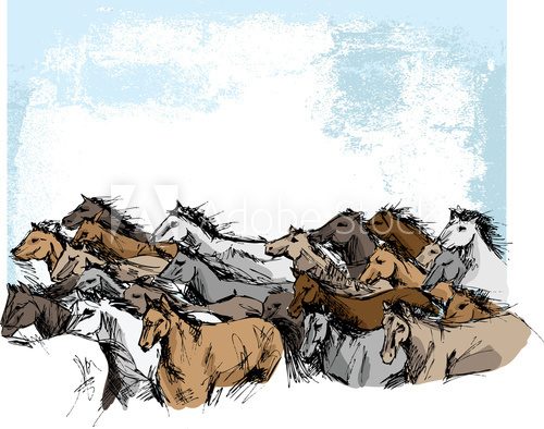 Sketch of horses running  Drawn Sketch Fototapeta