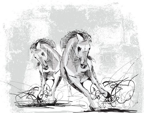 Sketch of horses running  Drawn Sketch Fototapeta