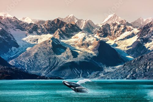 Alaska whale watching boat excursion. Inside passage mountain range landscape luxury travel cruise concept. Krajobraz Fototapeta