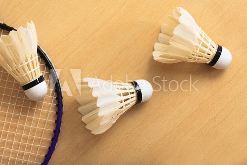 Badminton precyzja i lekkość sportowej rywalizacji Sport Fototapeta