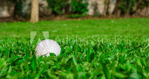 Białe na zielonym. Piłka golfowa. Sport Fototapeta