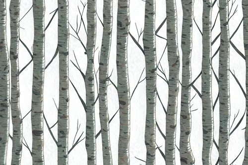 Birch trees with branches, watercolor seamless pattern. Forest illustration of stems on white background, nature template. Styl skandynawski Fototapeta