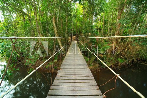 Bridge to the jungle,Khao Yai national park,Thailand Fototapety Mosty Fototapeta
