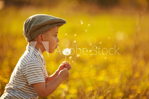 cute little boy with dandelions  Dmuchawce Fototapeta