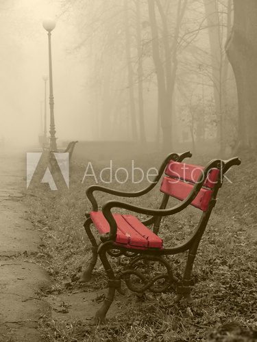 Czerwień otulona mgłą.
 Obrazy do Salonu Obraz