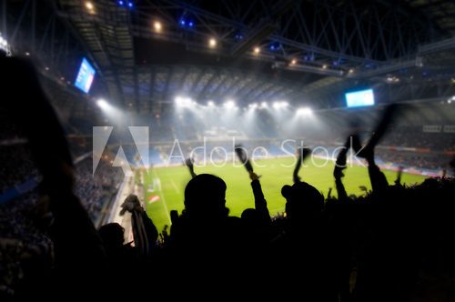 Fans celebrating a goal on football / soccer match  Stadion Fototapeta