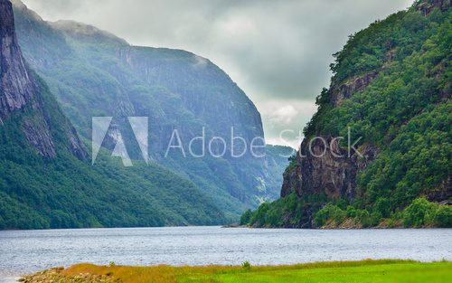 Fiord otoczony zielonymi górami Fototapety Góry Fototapeta