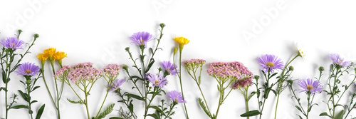 Floral and plants on white background. Frame of flowers. March 8, mother's day background. Top view, flat lay. Composition of wild flowers. Flower pattern. Fototapety do Kuchni Fototapeta