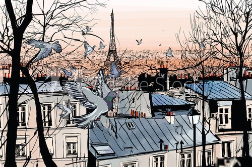 Gołębie w Paryżu, Eiffla w tle. Fototapety Wieża Eiffla Fototapeta