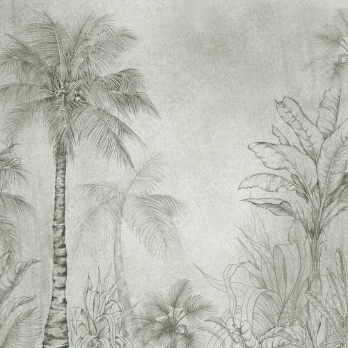 Hand-drawn tropical palm trees and foliage in a pencil sketch style. Botanical jungle illustration with vintage and natural aesthetic, ideal for prints, posters, and interior decor. Fototapety do Salonu Fototapeta