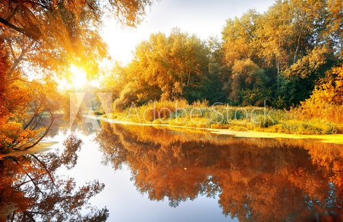 Jesienna harmonia nad spokojną rzeką Krajobraz Fototapeta