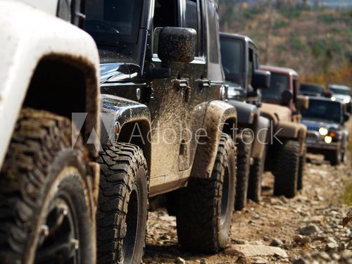 Korowód Jeepów – offroad
Pojazdy Fototapeta
