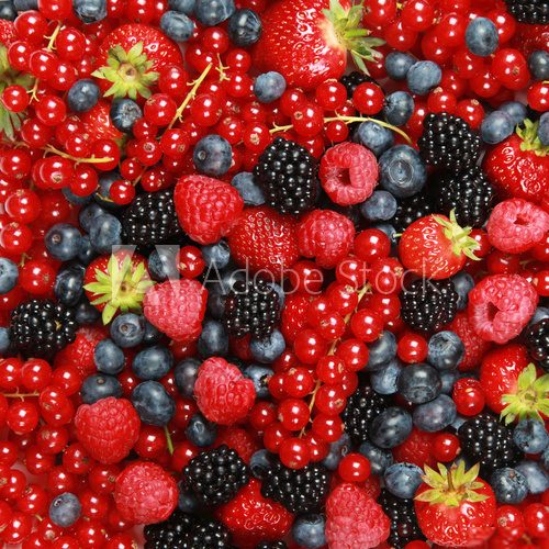 Kosz pełen owoców- smaki lata Owoce Obraz