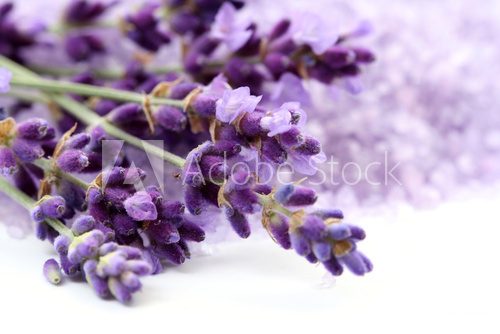 Lawenda – prowansalska gałązka pachnąca latem
 Kwiaty Fototapeta