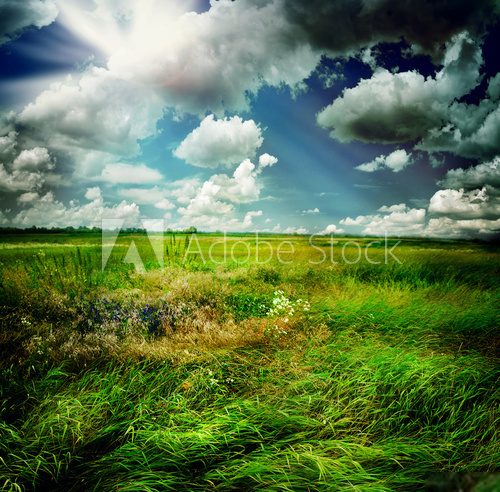 Letnia łąka – pejzaż w kolorach natury
 Krajobraz Fototapeta