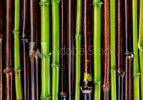 Łodygi bambusa – zbliżenie na Azję
 Tekstury Fototapeta