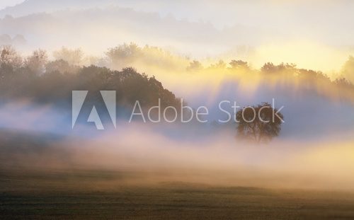 Mgła nad wschodzącym słońcem Krajobraz Fototapeta