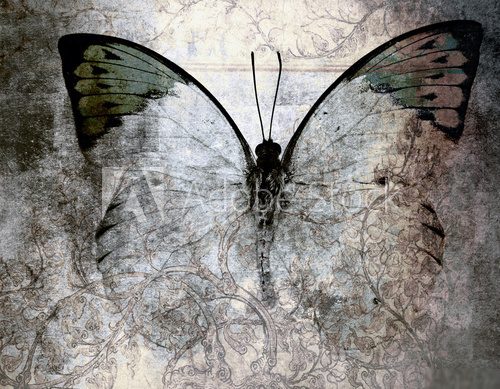 Motyl (jak) malowany – piękno w stylu grunge
 Obrazy do Salonu Obraz