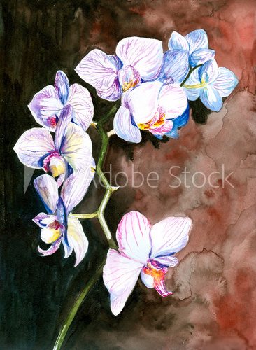 Orchidea malowana akwarelą Obrazy do Salonu Obraz