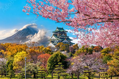 Osaka Castle and full cherry blossom, with Fuji mountain background, Japan. Krajobraz Fototapeta