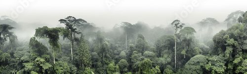 panorama of the rainforest tree tops in the fog. Generative AI Fototapety do Łazienki Fototapeta