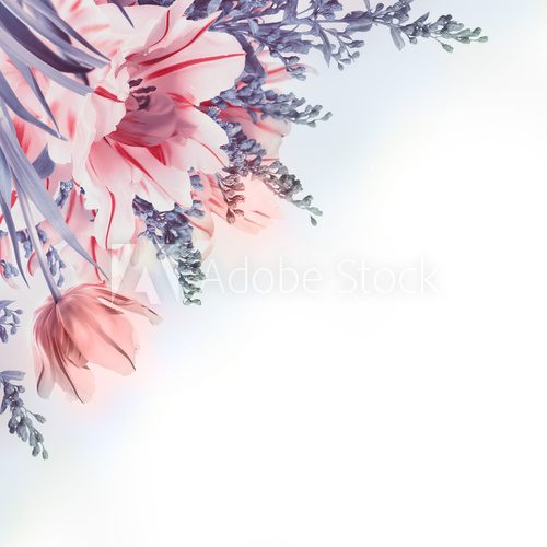 Pastelowe, różowe tulipany Kwiaty Fototapeta